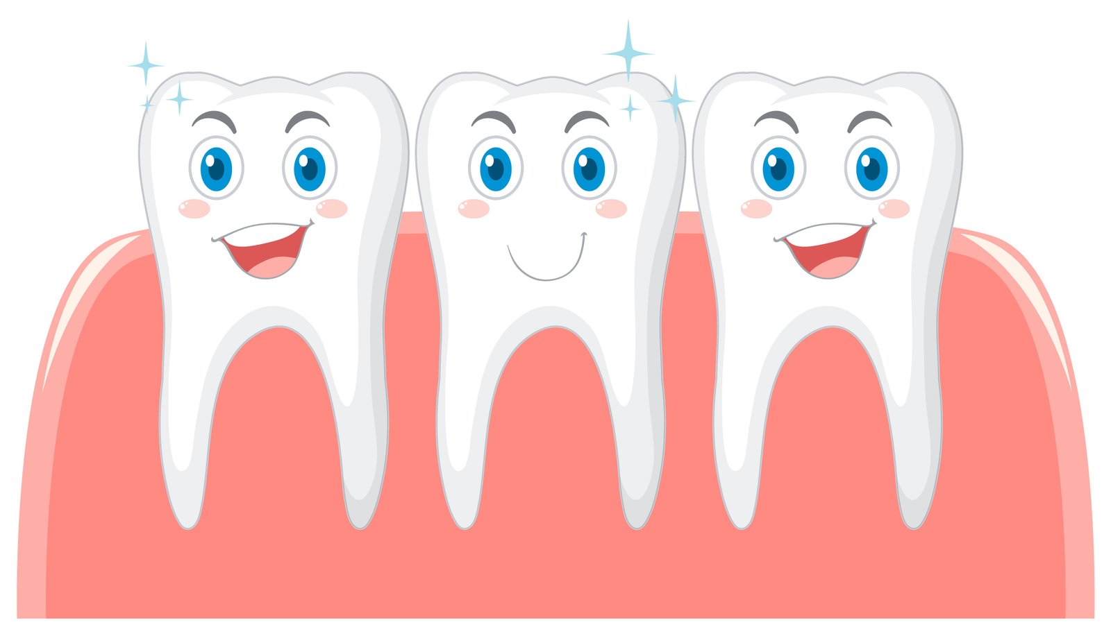 Healthy Protected Teeth